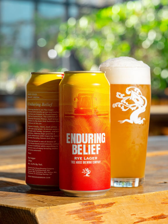 Enduring Belief