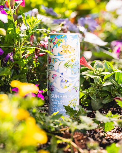 🌦️☀️🌧️🌈 Sunshower Cold Brew!