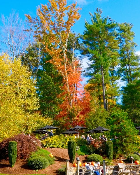 Autumn is the time.
