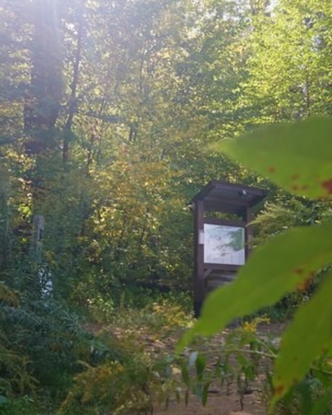 A little secret to discover when you wander the trails in Charlton.