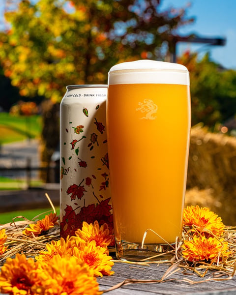 Autumn is in full swing.