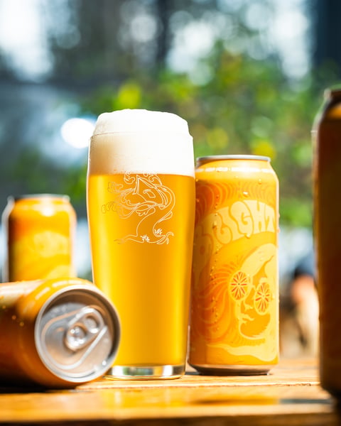 Bright Citra is tasting mighty bright this morning.
