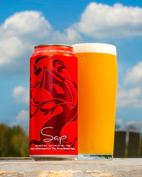 Every day we have Sap is a day worth visiting, and today is one of those days.