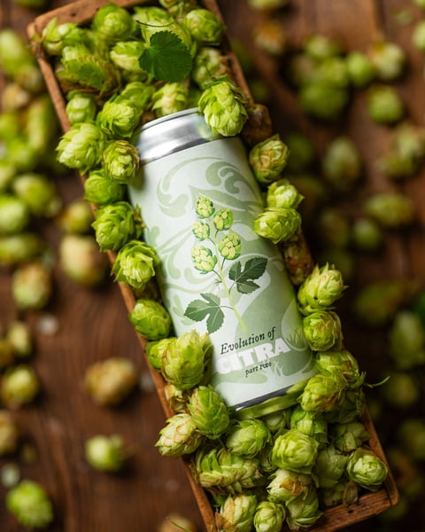Evolution of Citra - Pale Ale was a low-key staff favorite earlier this year, so we're running it back.