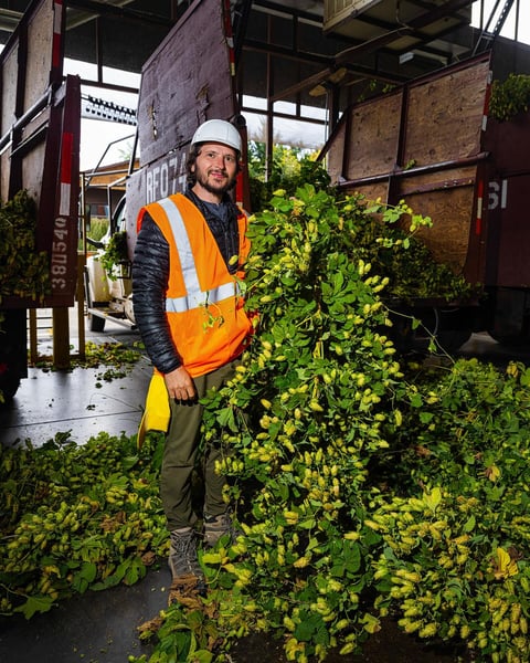 Choosing our top five favorite hop varieties is a daunting task. Nate gave it a go in this Tuesday’s YouTube video.
