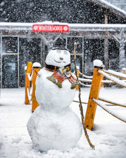 This is Roger, the friendly snowman.