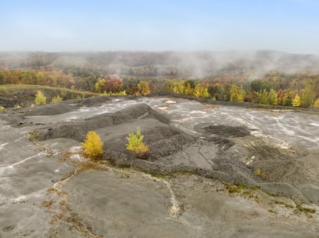 An image featuring sky, plant, cloud, flower, plant community, ecoregion, natural landscape, tree, grass, landscape at Cheney Road.