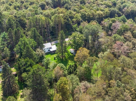 An image featuring plant community, ecoregion, natural landscape, tree, plant, landscape, grass, shrub, forest, groundcover at 1039 Old Bernice Rd.