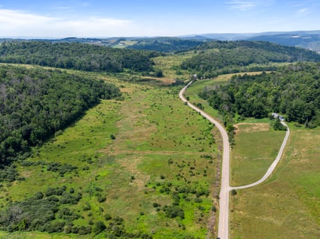 An image featuring cloud, sky, plant, plant community, ecoregion, natural landscape, land lot, mountain, tree, slope at 1863 Sopertown Rd.