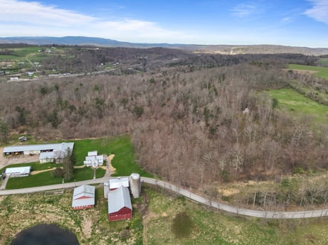An image featuring cloud, sky, plant, plant community, land lot, grass, natural landscape, tree, grassland, landscape at 525 Spring Hill Rd.