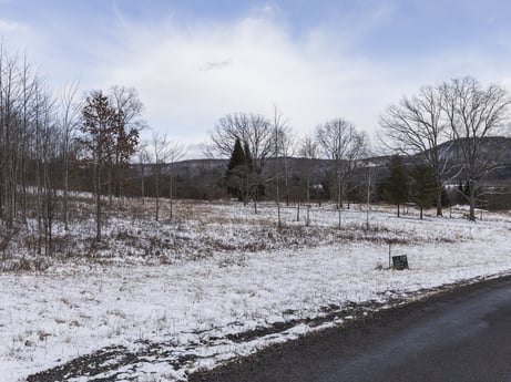 An image featuring cloud, sky, plant, snow, natural landscape, tree, land lot, road surface, grass, asphalt at Hemlock Hill Rd.