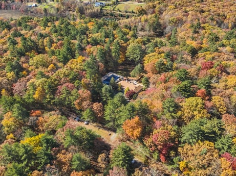 An image featuring flower, plant community, plant, botany, natural landscape, tree, woody plant, landscape, shrub, deciduous at 125 Rimstone Ct.