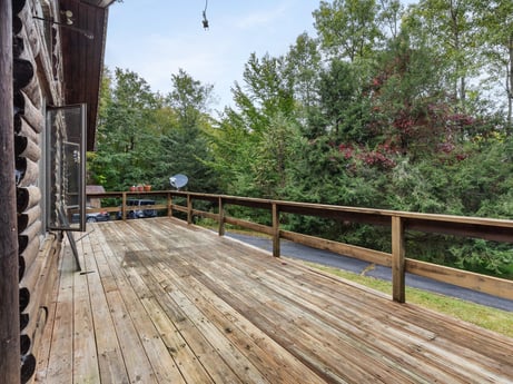 An image featuring sky, plant, tree, wood, cloud, wood stain, thoroughfare, fence, street light, woody plant at 125 Marcy Rd.