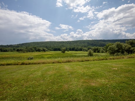An image featuring cloud, sky, plant, natural landscape, tree, grass, cumulus, grassland, horizon, agriculture at 17899 US-6.