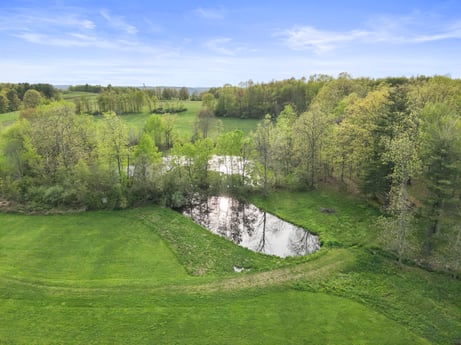 An image featuring sky, plant, cloud, natural landscape, tree, land lot, grass, plain, shrub, landscape at 1195 Twin Cuts Rd.