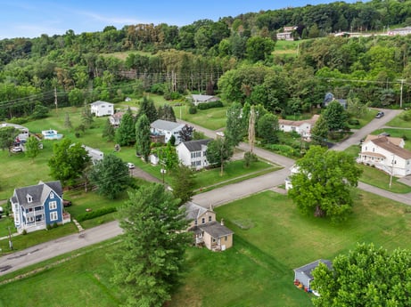 An image featuring plant, sky, botany, green, natural landscape, tree, land lot, vegetation, urban design, biome at 105 Thomas St.