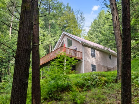 An image featuring plant, tree, building, sky, cloud, window, natural landscape, wood, house, trunk at 459 Pine Hill Dr.