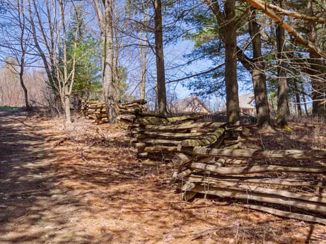 An image featuring sky, plant community, plant, natural landscape, wood, tree, trunk, grass, deciduous, landscape at 144 Milton Ln.