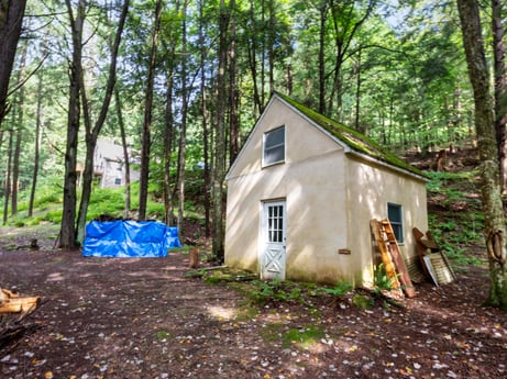 An image featuring plant, plant community, wood, tree, natural landscape, land lot, tarpaulin, biome, grass, landscape at 459 Pine Hill Dr.