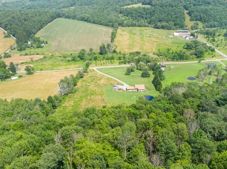 An image featuring property, ecoregion, green, tree, natural landscape, highland, plant, land lot, slope, grass at 6583 N Rome Rd.