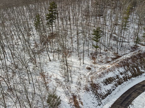 An image featuring snow, plant, natural landscape, wood, twig, freezing, landscape, grass, trunk, geological phenomenon at Hemlock Hill Rd.