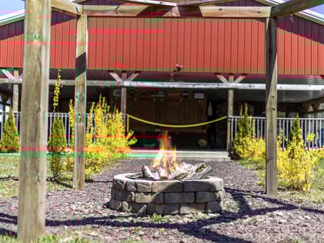 An image featuring plant, leaf, botany, building, leisure, grass, landscape, shade, gas, wood at 4741 US-220.