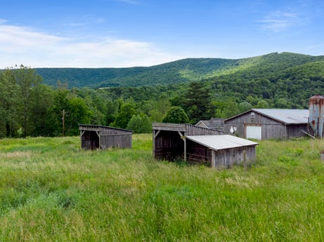 An image featuring sky, plant, cloud, plant community, natural landscape, land lot, tree, building, mountain, plain at 709 Creek Rd.