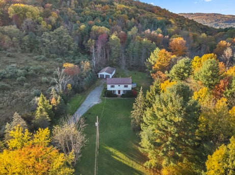 An image featuring plant, ecoregion, sky, building, leaf, tree, window, natural landscape, larch, yellow at 2266 Liberty Corners Rd.