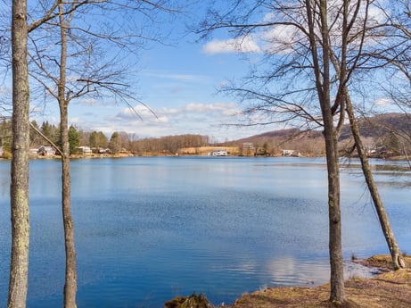 An image featuring water, sky, cloud, water resources, plant, natural landscape, tree, branch, lake, wood at 199 S Lake Rd.