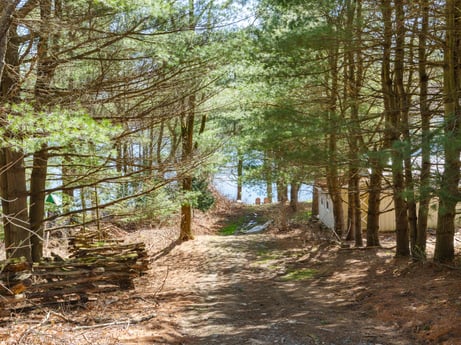 An image featuring plant, plant community, natural landscape, wood, tree, trunk, grass, deciduous, thoroughfare, landscape at 144 Milton Ln.