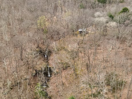 An image featuring plant, carnivore, natural landscape, bedrock, terrestrial animal, grassland, grass, shrub, prairie, soil at English Hollow Ln.