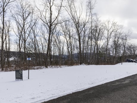 An image featuring sky, cloud, snow, natural landscape, tree, wood, freezing, landscape, twig, plant at Hemlock Hill Rd.
