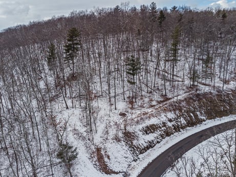 An image featuring sky, plant, snow, natural landscape, wood, cloud, freezing, grass, twig, landscape at Hemlock Hill Rd.
