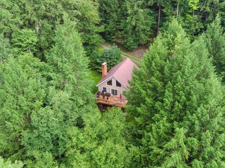 An image featuring plant, window, tree, natural landscape, building, larch, house, evergreen, groundcover, landscape at 459 Pine Hill Dr.