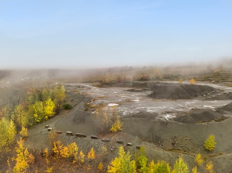 An image featuring flower, sky, plant, ecoregion, natural landscape, natural environment, atmospheric phenomenon, grass, fog, plain at Cheney Road.