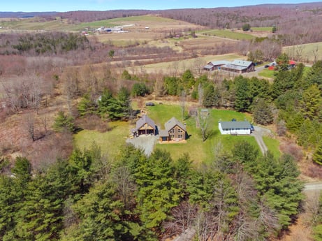 An image featuring plant, plant community, natural landscape, tree, house, land lot, window, vegetation, sky, grass at 144 Milton Ln.