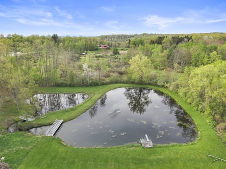 An image featuring water, sky, cloud, plant, nature, natural landscape, tree, lake, watercourse, grass at 1195 Twin Cuts Rd.