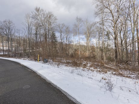 An image featuring cloud, sky, plant, snow, natural landscape, tree, road surface, asphalt, landscape, rural area at Hemlock Hill Rd.