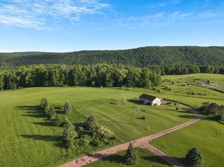 An image featuring cloud, sky, plant, ecoregion, natural landscape, highland, land lot, tree, grass, grassland at 85 View Rd.