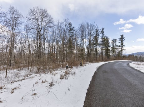 An image featuring sky, cloud, plant, snow, natural landscape, tree, wood, asphalt, road surface, landscape at Hemlock Hill Rd.