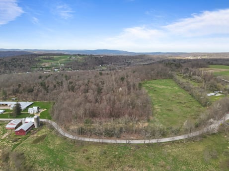 An image featuring cloud, sky, plant, natural landscape, land lot, tree, grassland, plain, grass, landscape at 525 Spring Hill Rd.