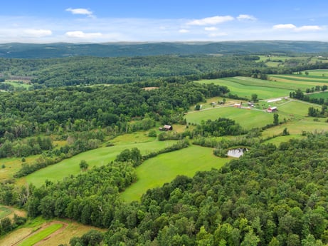 An image featuring sky, plant, cloud, ecoregion, green, nature, natural environment, natural landscape, vegetation, land lot at 2399 Keene Summit Rd.