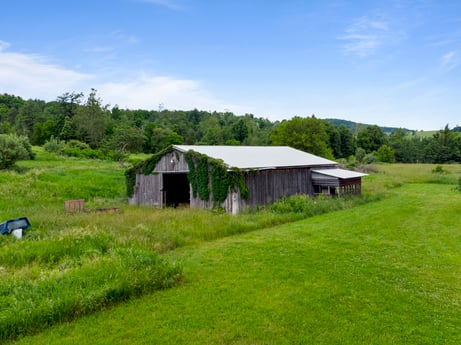 An image featuring sky, cloud, plant, natural landscape, tree, land lot, landscape, plain, grass, grassland at 709 Creek Rd.