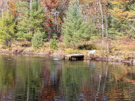 An image featuring water, plant, plant community, natural landscape, natural environment, larch, tree, vegetation, lake, lacustrine plain at 125 Rimstone Ct.