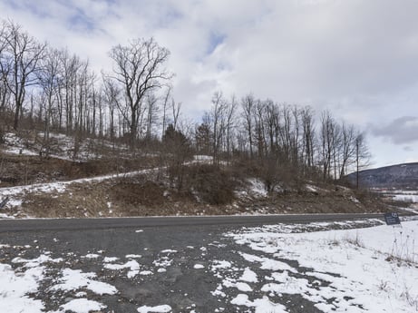 An image featuring cloud, sky, snow, plant, branch, tree, natural landscape, water, watercourse, slope at Hemlock Hill Rd.