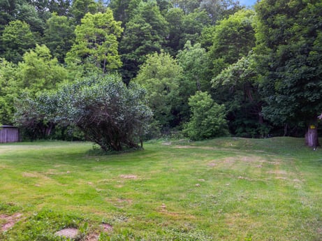 An image featuring plant, plant community, natural landscape, land lot, tree, grass, groundcover, landscape, shrub, grassland at 138 T-329.