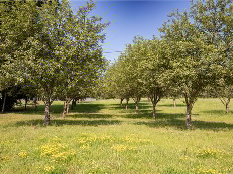 An image featuring plant, sky, natural landscape, tree, land lot, plain, grass, grassland, shade, landscape at 17899 US-6.
