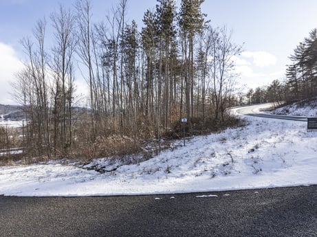 An image featuring cloud, sky, plant, snow, natural landscape, road surface, asphalt, tree, wood, geological phenomenon at Hemlock Hill Rd.