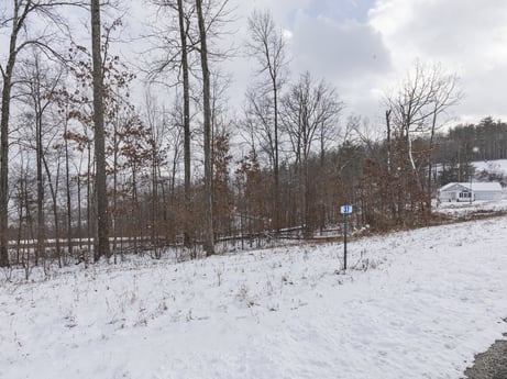 An image featuring cloud, sky, snow, plant, natural landscape, tree, twig, landscape, freezing, road at Hemlock Hill Rd.