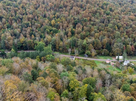 An image featuring plant, ecoregion, natural landscape, natural environment, tree, larch, land lot, landscape, woody plant, mountainous landforms at Nordmont Rd.
